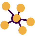 network_icon